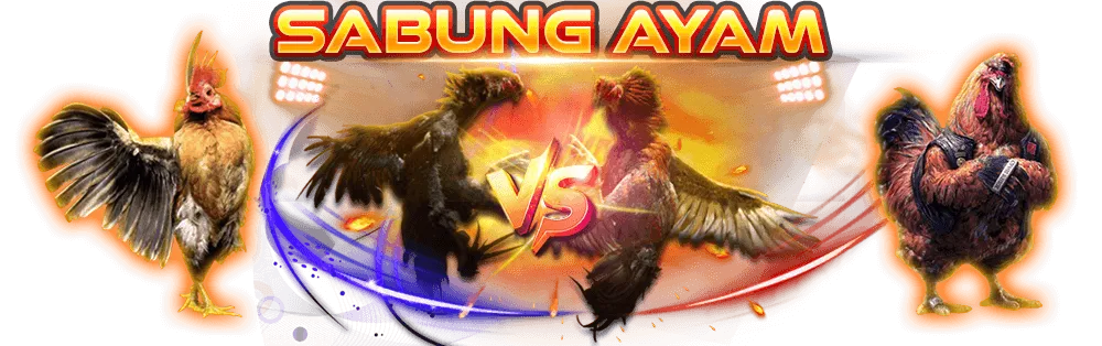 Sabung Ayam online TokekWin live streaming