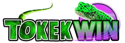 TokekWin