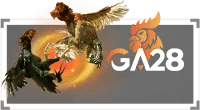GA28 provider logo
