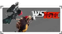 WS168 provider logo